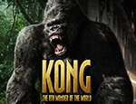 Игровая программаKing-Kong