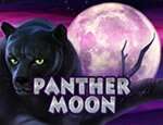 Игровой аппарат Panther Moon выигрывать в ПинАп казино
